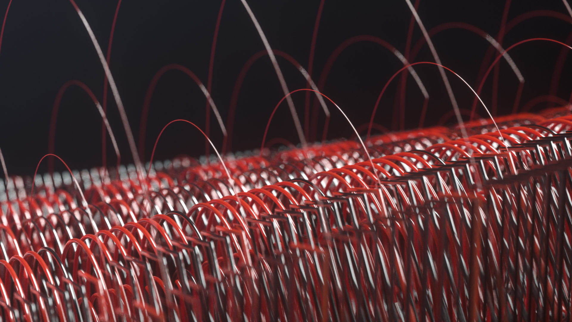 itsmccoy_branding_animation_00097